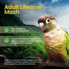 Harrison's Adult Lifetime Mash serving in bowl demonstrates simple year-round feeding.