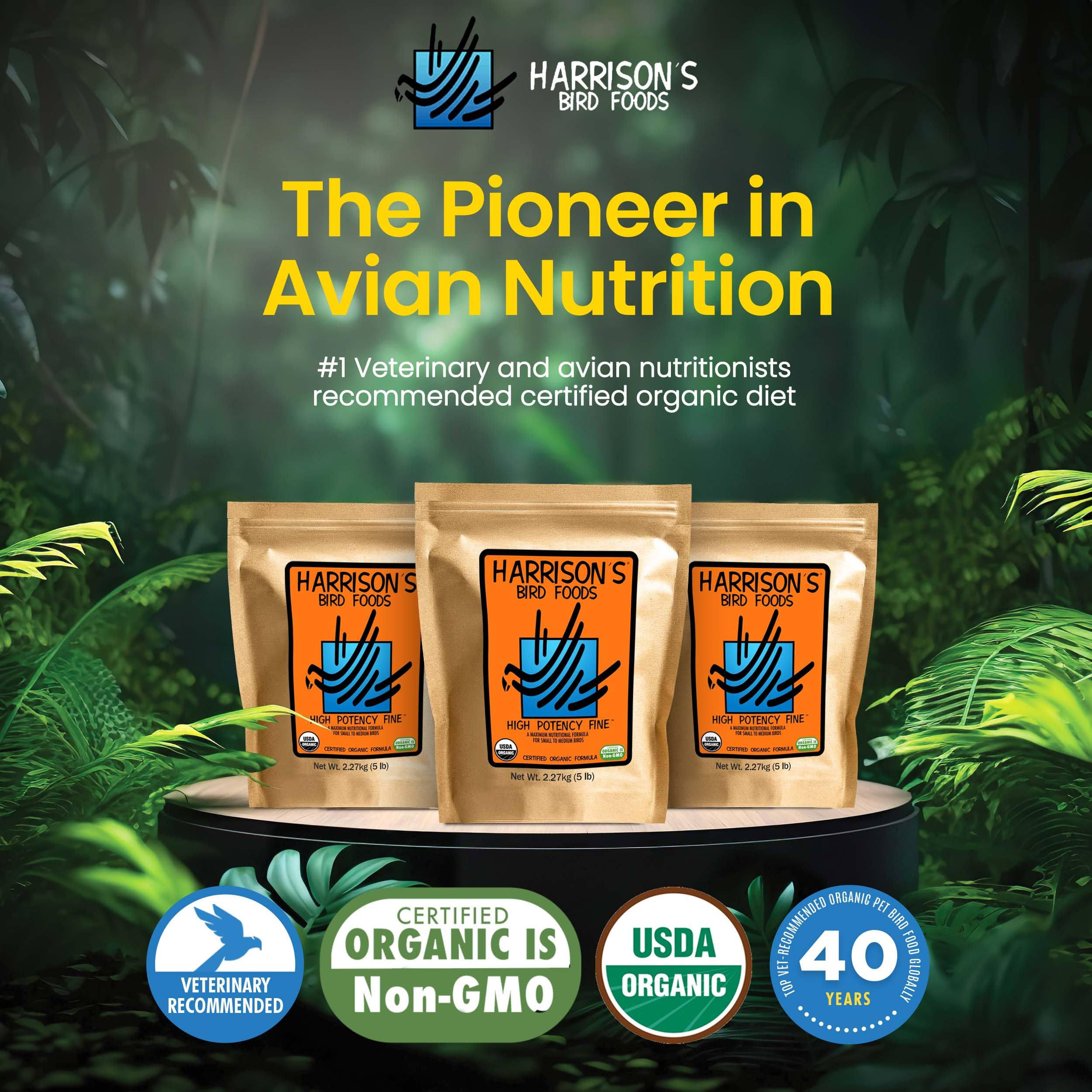 Harrison's organic ingredients closeup showcases organic grains and legumes for year-round health.