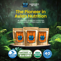 Harrison's organic ingredients closeup showcases organic grains and legumes for year-round health.