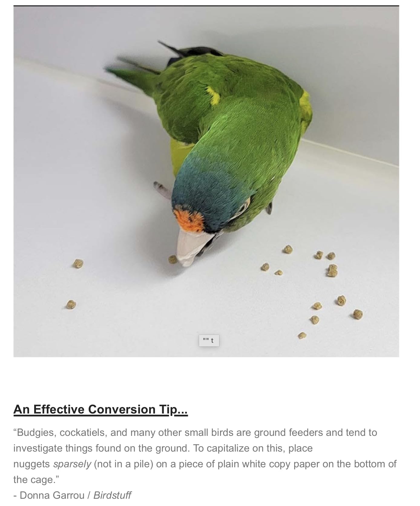 Harrison's High Potency Fine chick-weaning image shows gentle nutrition for growing youngsters.