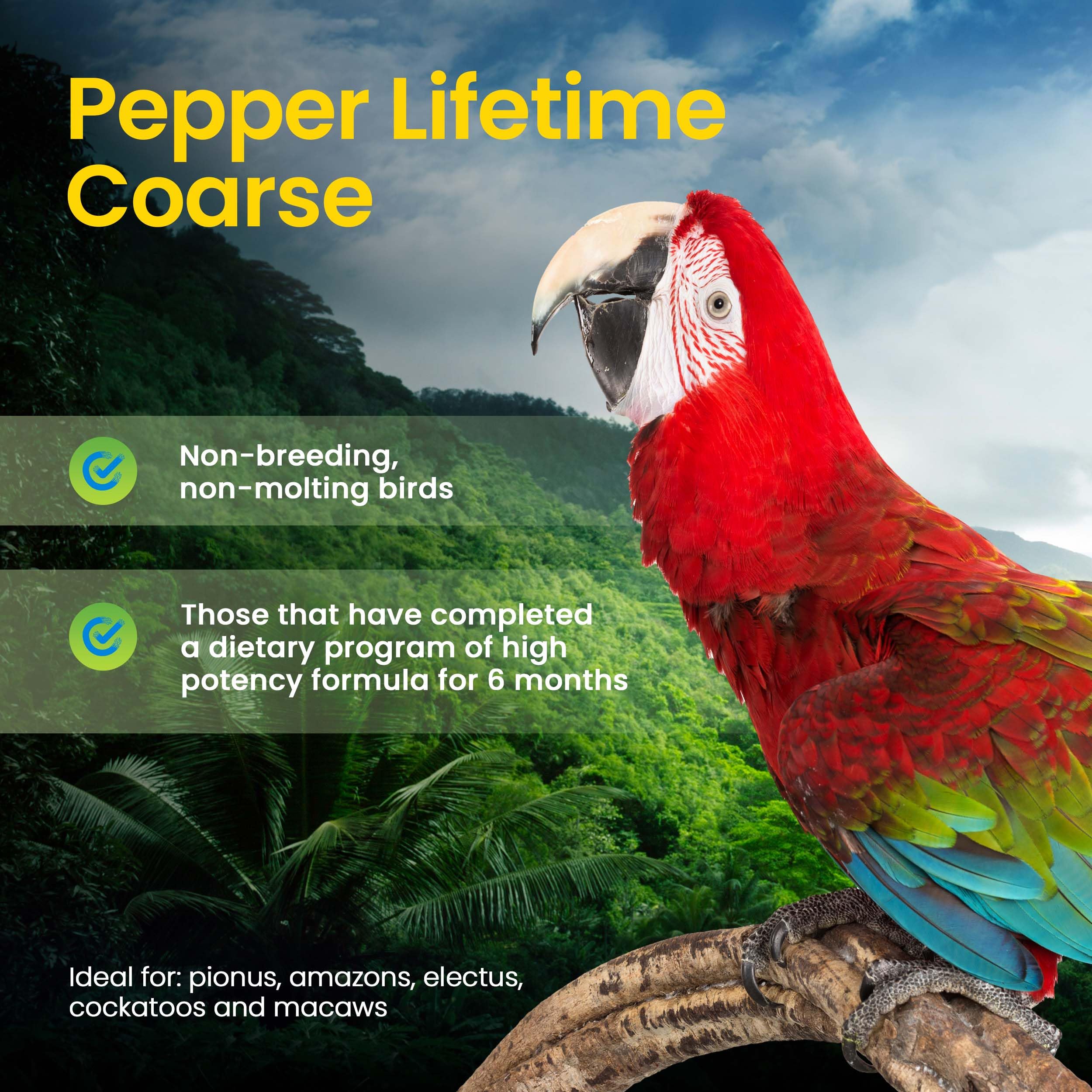 Bird enjoying Pepper Lifetime Coarse as an enrichment and foraging-friendly meal