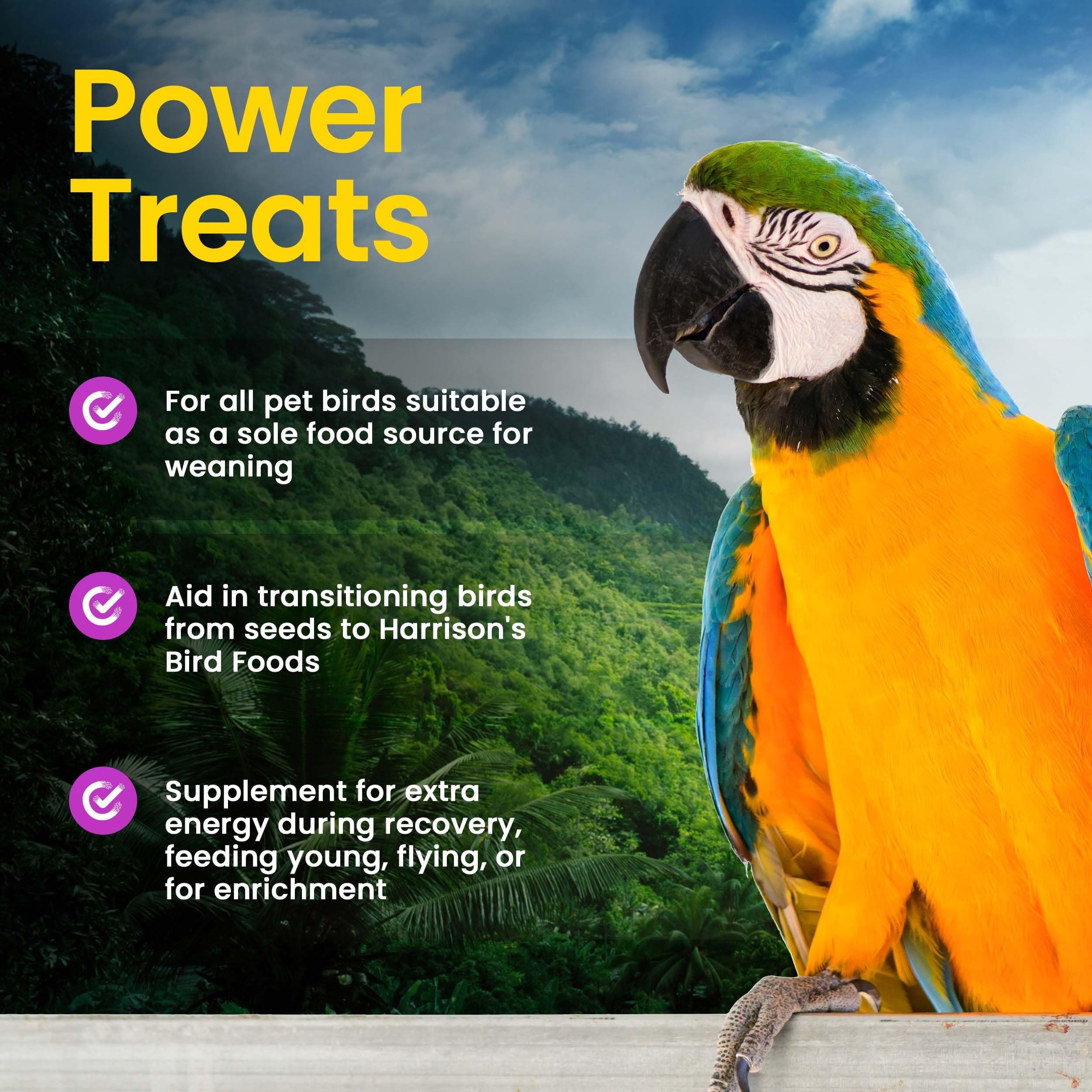 Harrisons Foraging Enrichment shows interactive feeding and mental stimulation.
