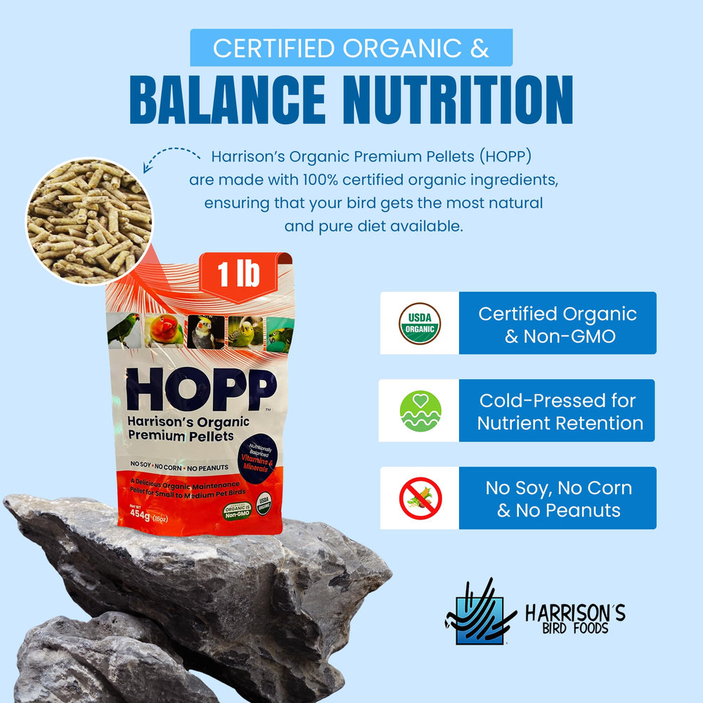 Harrison's Premium Pellets adult-bird-feeding demonstrates daily diet for healthy birds