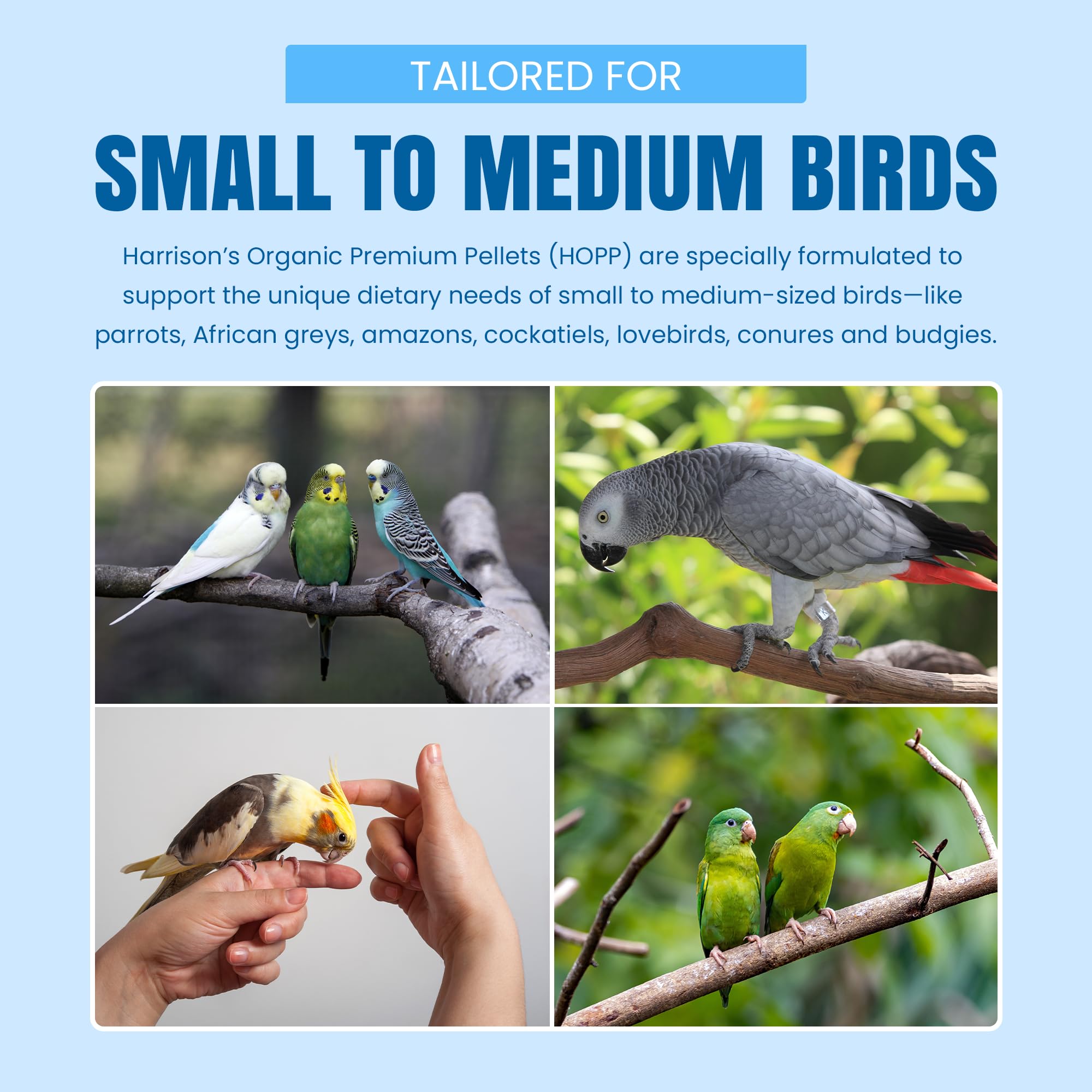 Harrison's Premium Pellets nutrition-facts highlight vitamin and mineral balance
