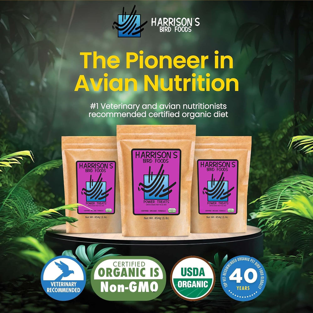 Harrisons Power Treats nuggets closeup highlights energy-dense bites for feather health.