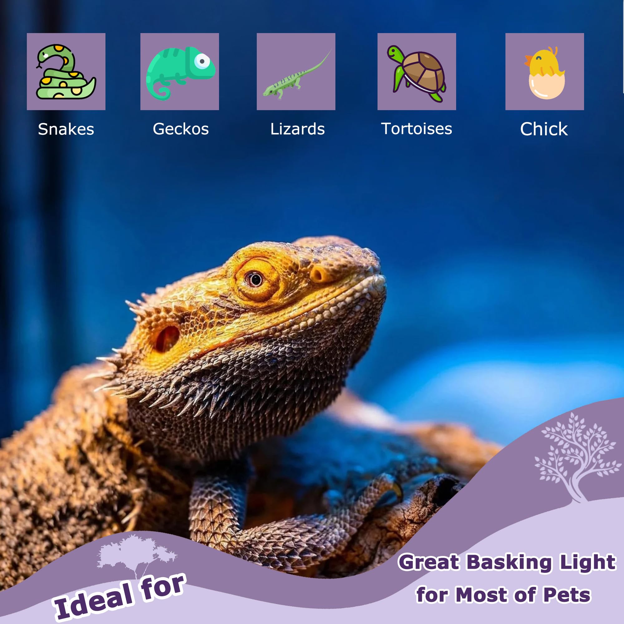 HARTOMPET 60W reptile night light is compatible with bearded dragons and more.