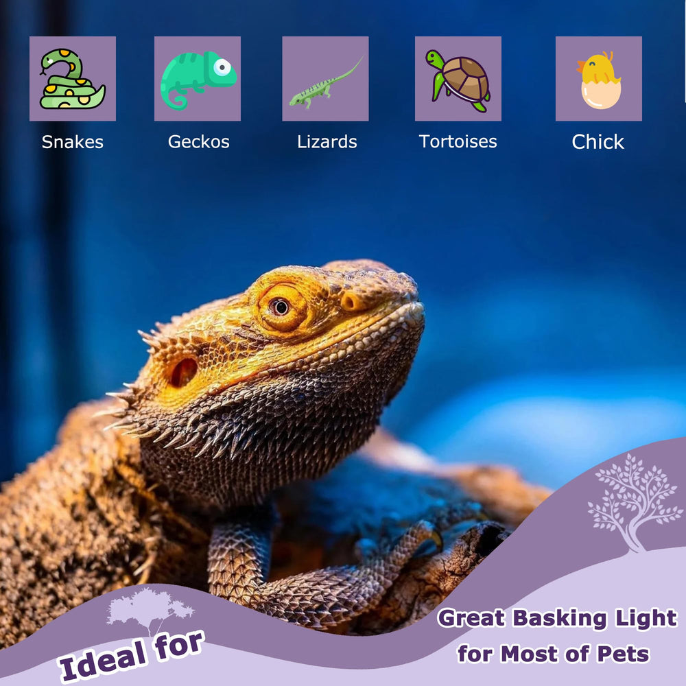 HARTOMPET 60W reptile night light is compatible with bearded dragons and more.