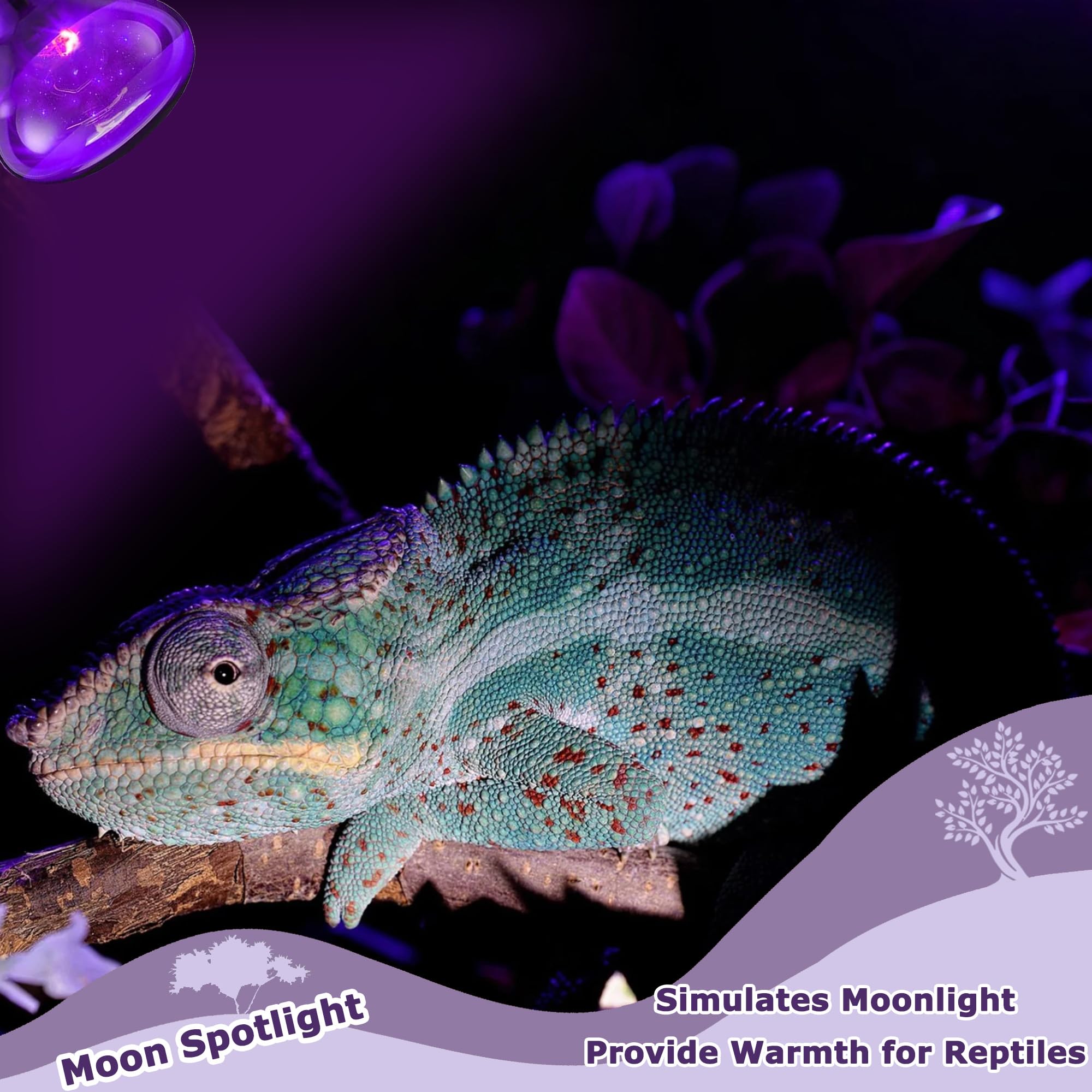 HARTOMPET 60W reptile night light comes with clear usage guidelines.