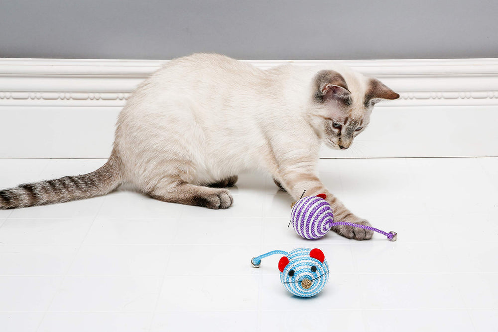 Hartz Cattraction Bell Mouse string and rattle provide multi-sensory excitement.