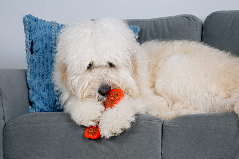 Hartz Chew ’n Clean Dental Duo bacon aroma—appealing scent during chewing sessions.
