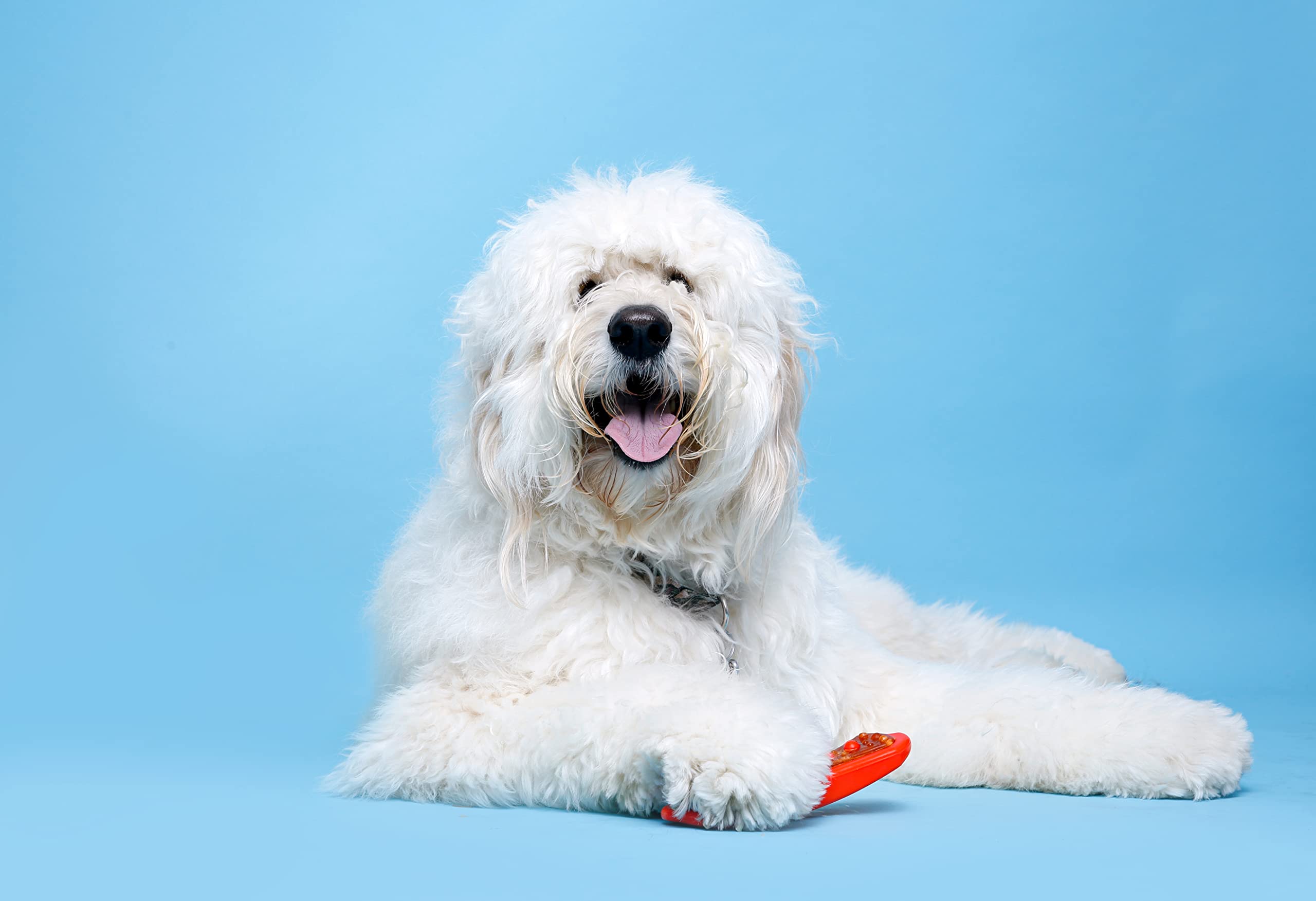 Hartz Chew ’n Clean Dental Duo extra large—sized for bigger chewers.