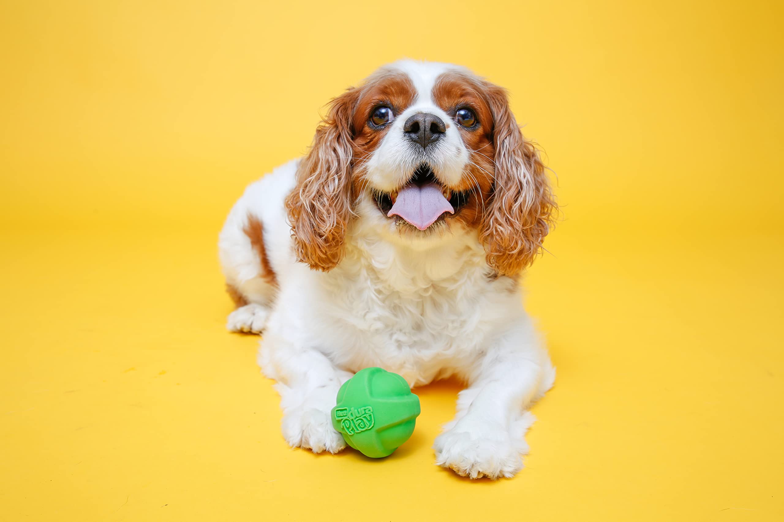 Hartz DuraPlay bacon toy is lightweight and easy to throw.
