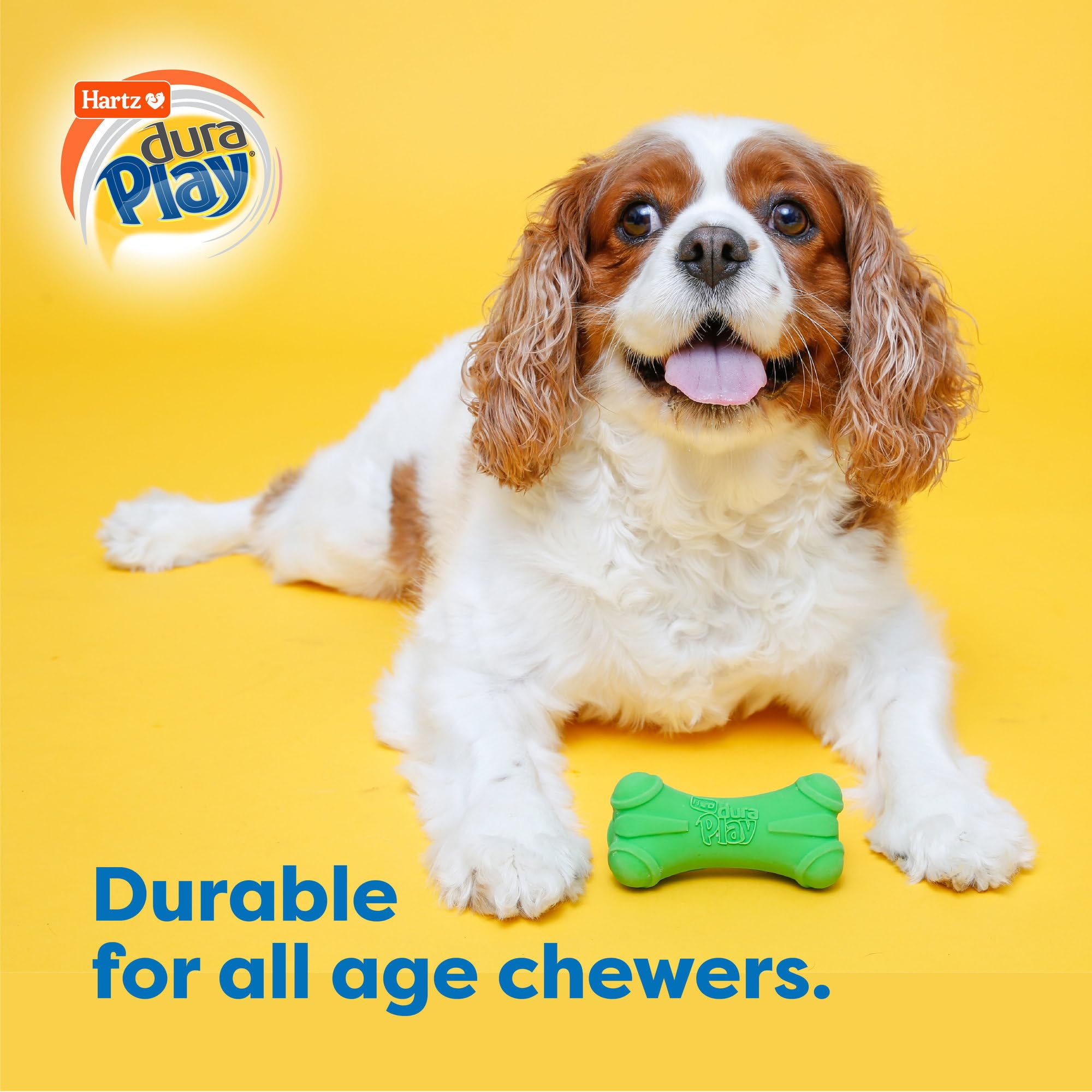 Hartz DuraPlay ball squeaker toy for small breeds boosts fetch and interactive chew sessions.