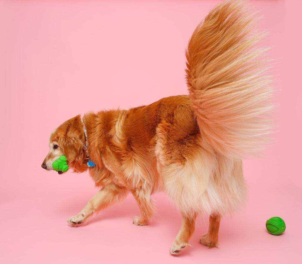 Hartz DuraPlay durable latex exterior resists wear during long chew and toss games.