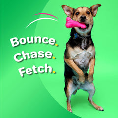 Hartz DuraPlay rocket squeaky toy adds bounce and excitement to outdoor play.