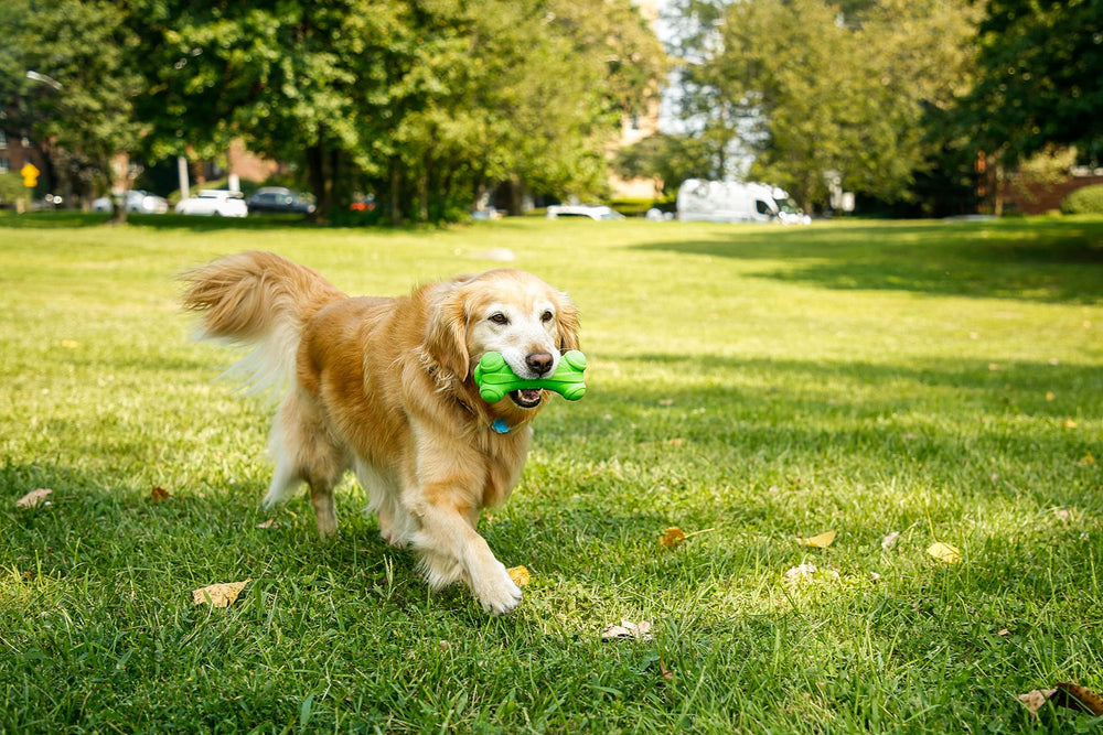 Hartz DuraPlay soft foam interior supports easy throwing and chewing sessions.