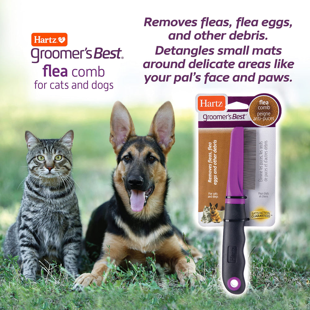 Hartz Groomer's Best Flea Comb dog-use shot highlights safe detangling.