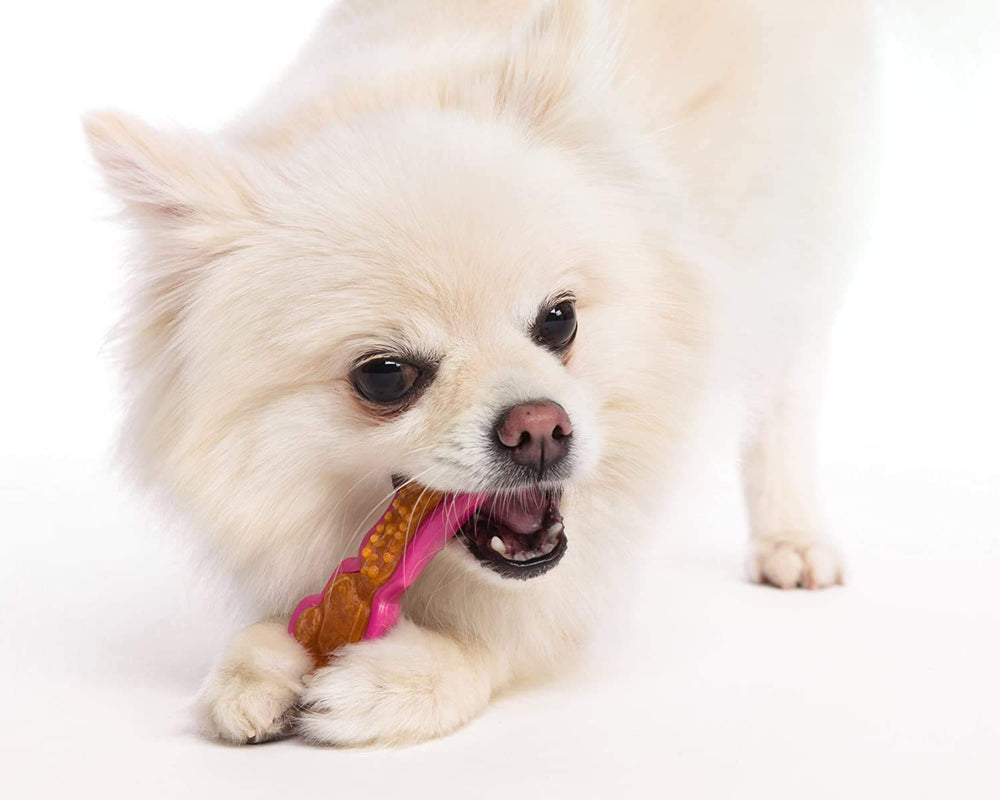 Hartz Tiny Dog Dental Duo set of 3 packaging image.
