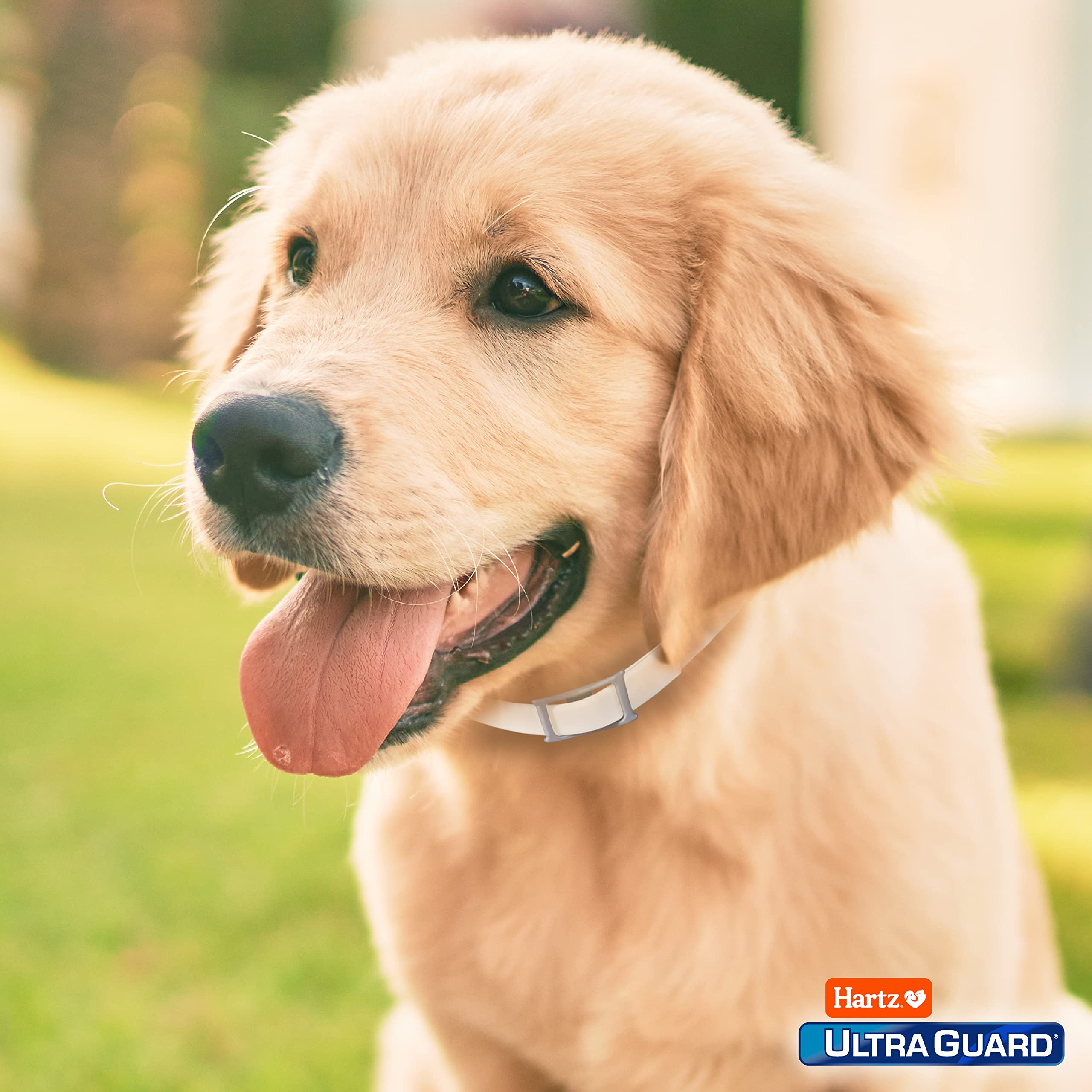 Hartz UltraGuard safety notes advise vet consultation for debilitated pets