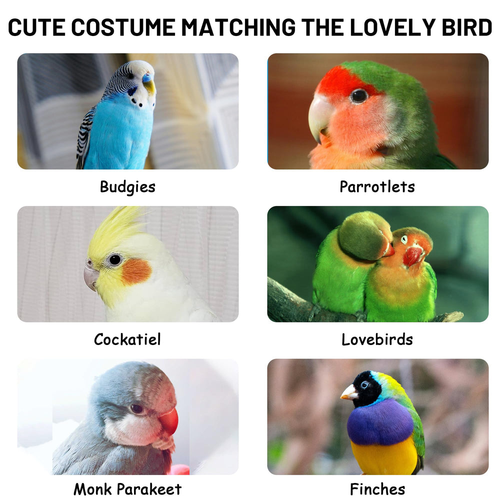 HASSLICKIT bird-costume photo prop boosts charm in pictures