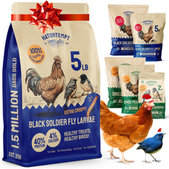 Hatortempt Black Soldier Fly Larvae bag front highlights a protein-rich poultry snack.