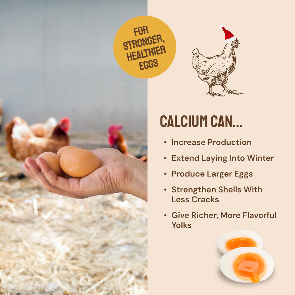 Hatortempt foraging treats encourage natural foraging habits and activity.