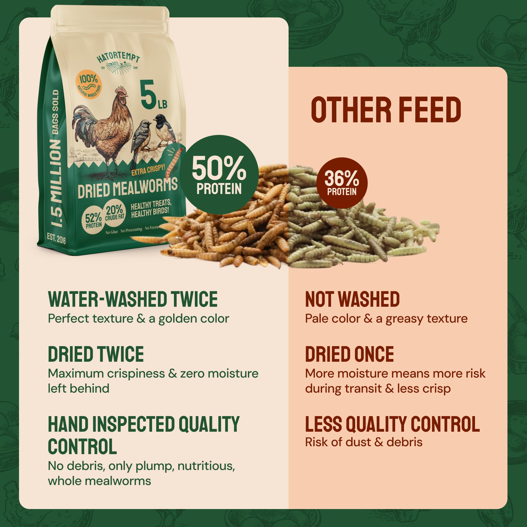 Hatortempt Dried Mealworms as a duck treat during cold months
