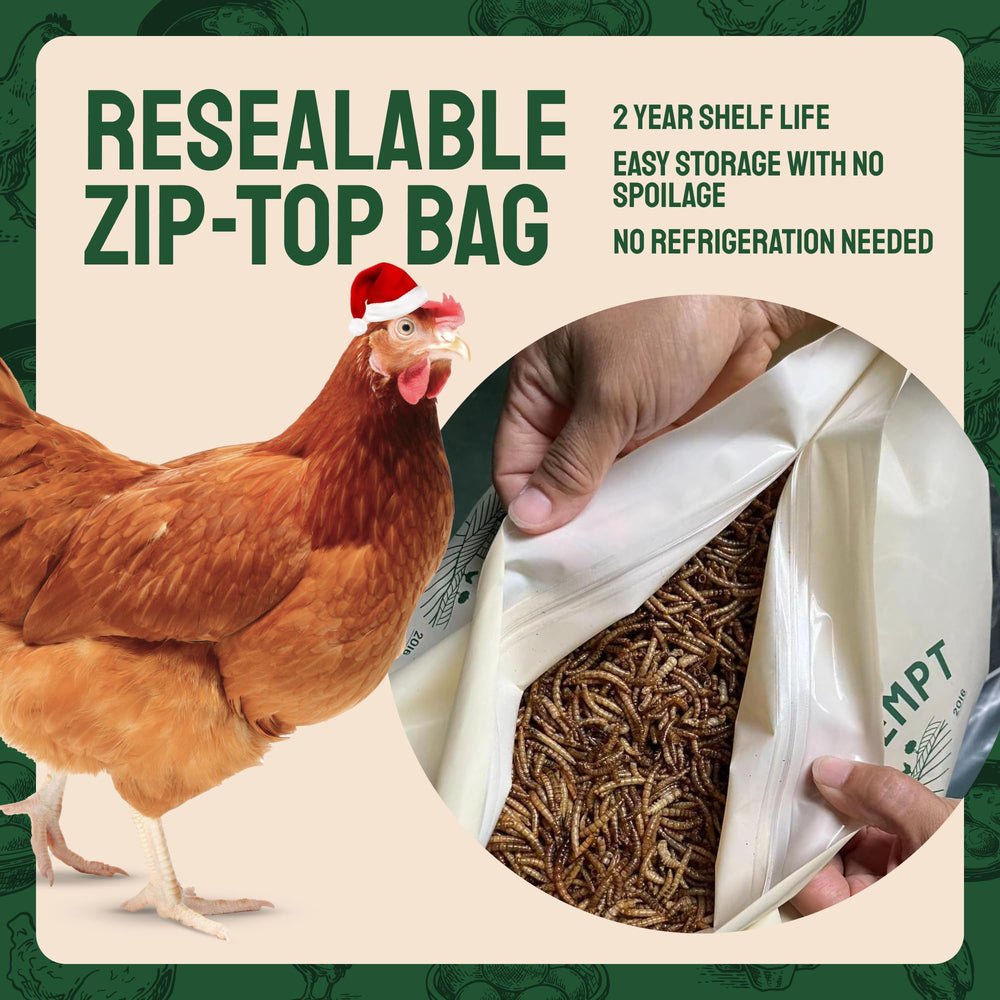 Hatortempt Dried Mealworms mixed with seed boosts garden bird appeal