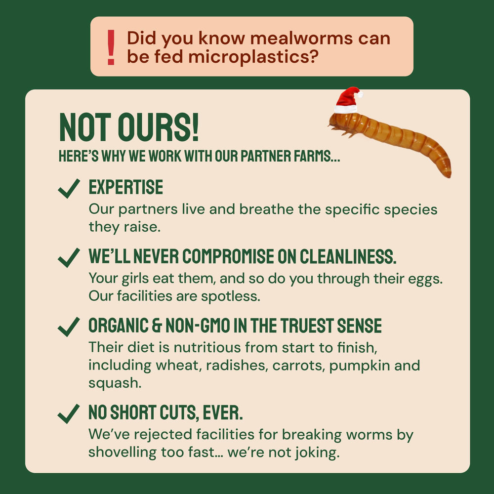 Hatortempt Dried Mealworms offer a squirrel-friendly snack in a resealable bag