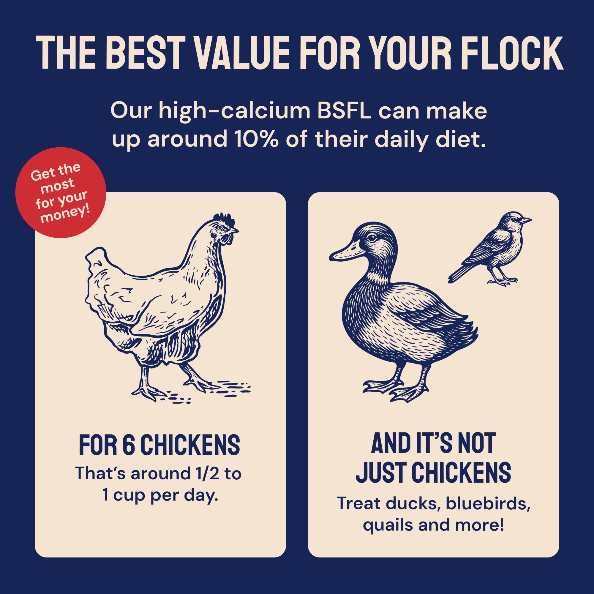 Hatortempt organic larvae image hints calcium-rich feed for laying hens.
