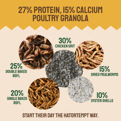 Hatortempt protein-packed mealworms support healthier growth and steady egg production.