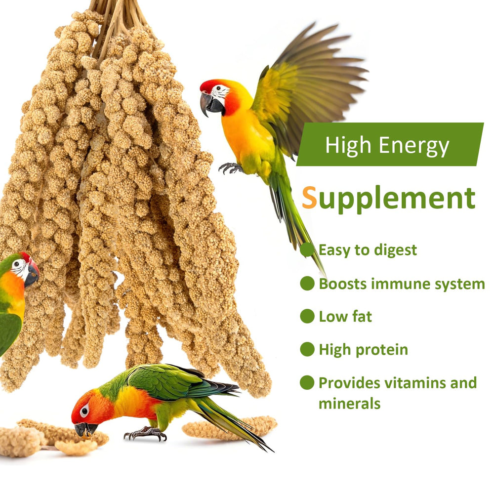 HATORTOP bird seed for digestion, easy-digestibility with 12% moisture.
