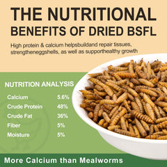 Hatortop BSFL dried larvae crispy texture loved by chickens.