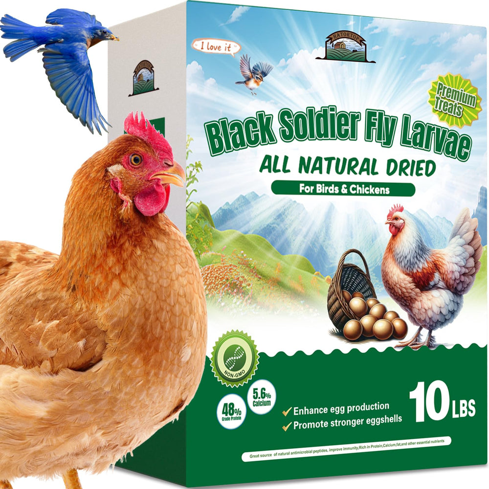 Hatortop BSFL dried larvae packaging shows resealable bag for freshness.