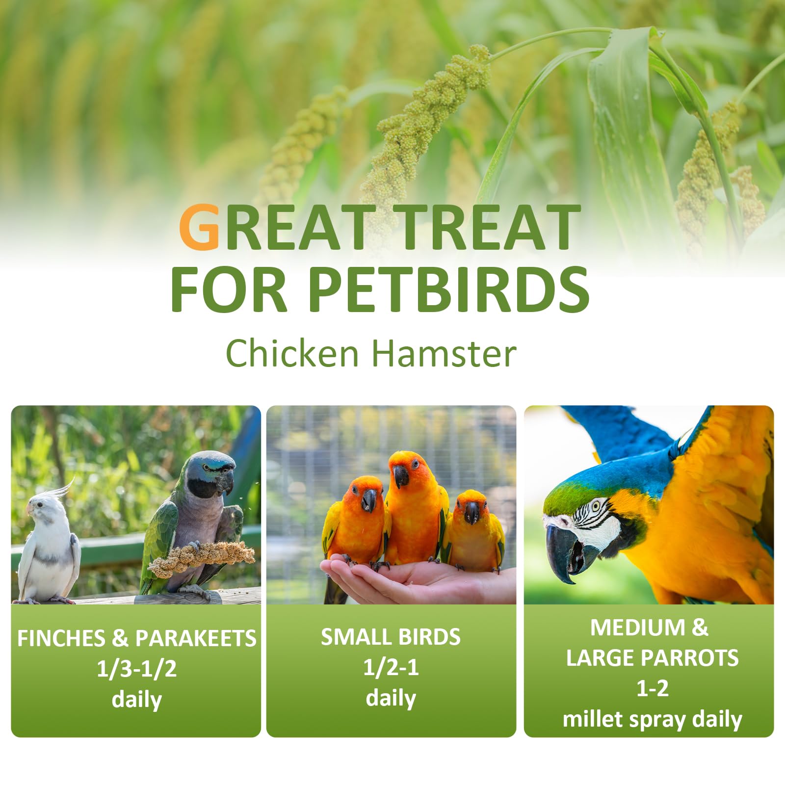 HATORTOP non-GMO millet, pesticide-free and safe for birds.