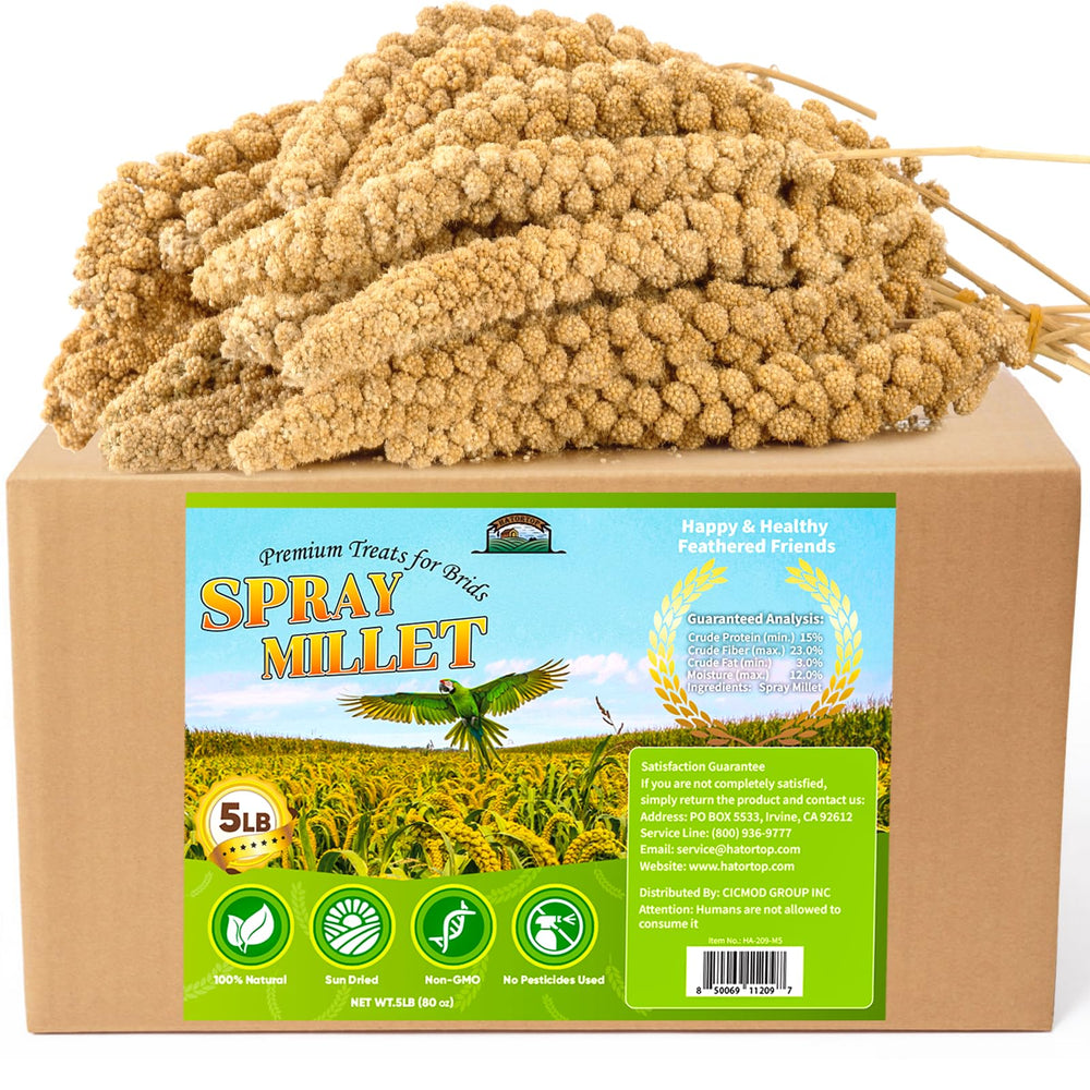 HATORTOP natural bird treat, a safe, enrichment-focused millet option.