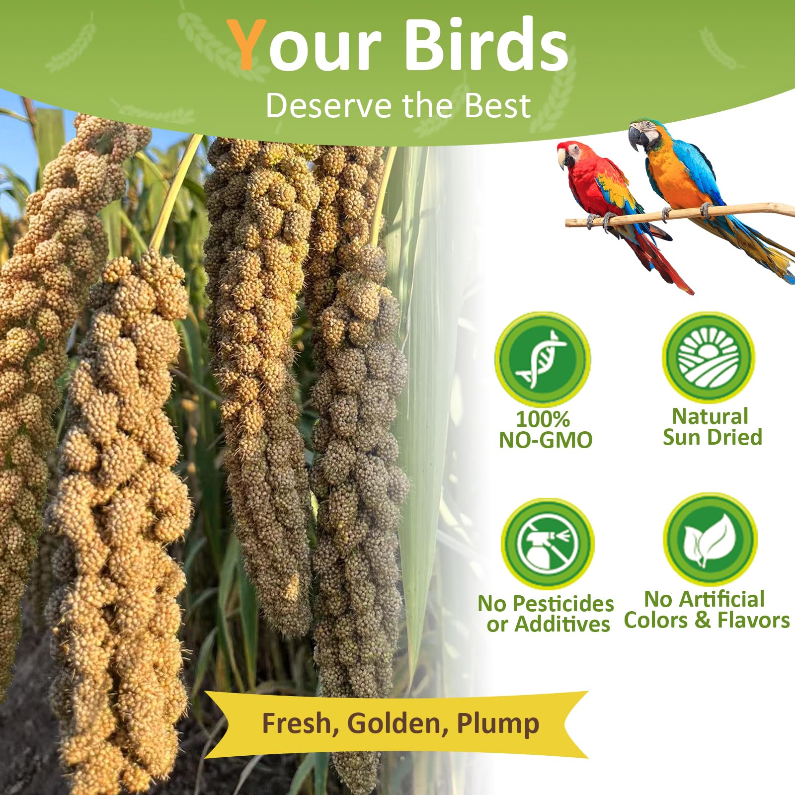 HATORTOP sun-dried millet seed, high-quality natural snack for birds.