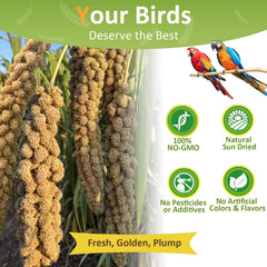 HATORTOP sun-dried millet seed, high-quality natural snack for birds.