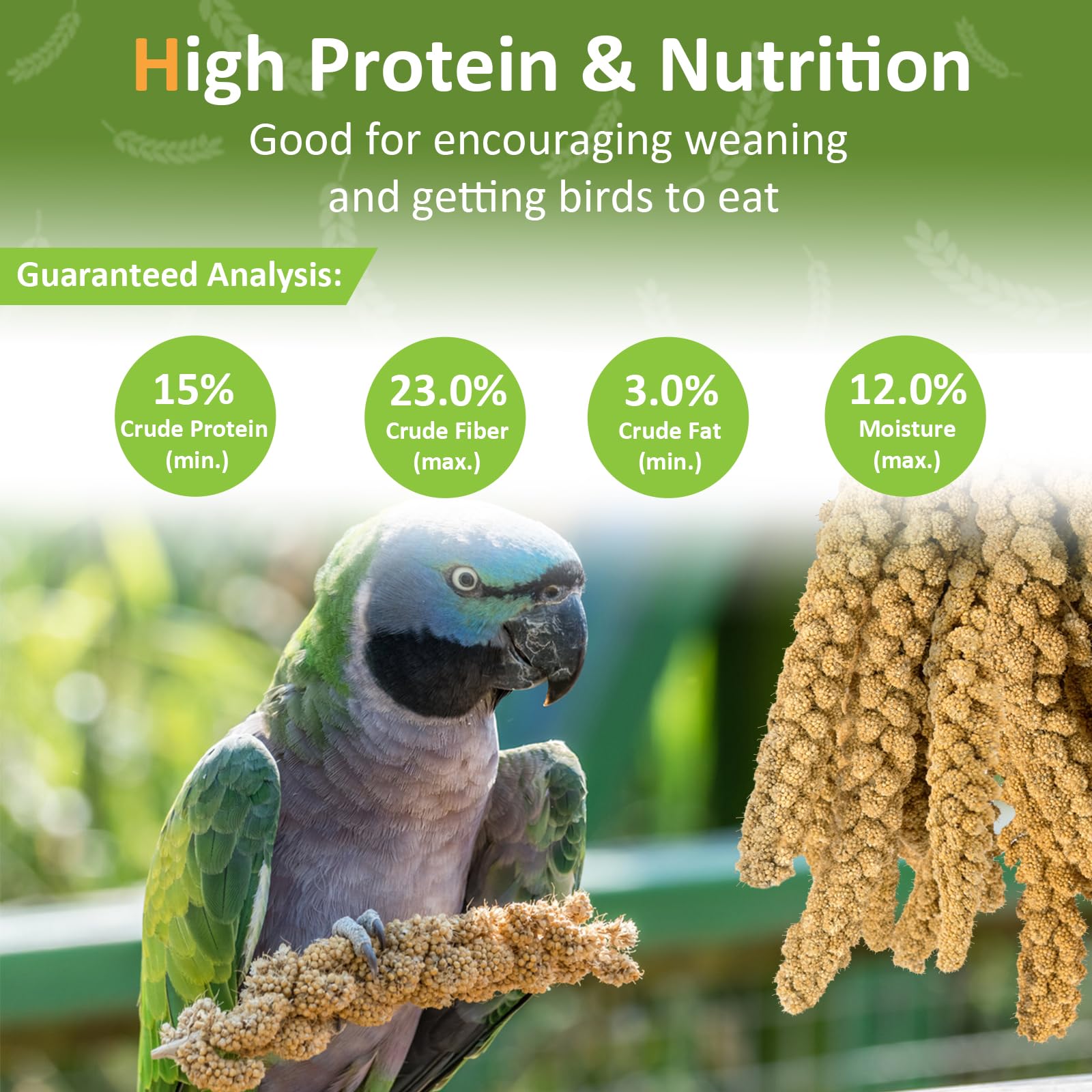 HATORTOP vitamins and minerals in millet, supporting bird vitality and health.