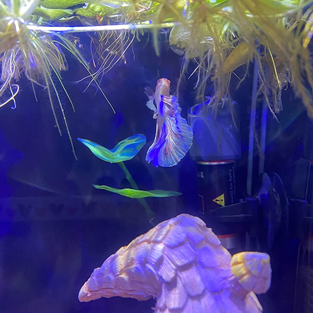 Haulonda Betta Hammock is lightweight and durable for quick tank setups.