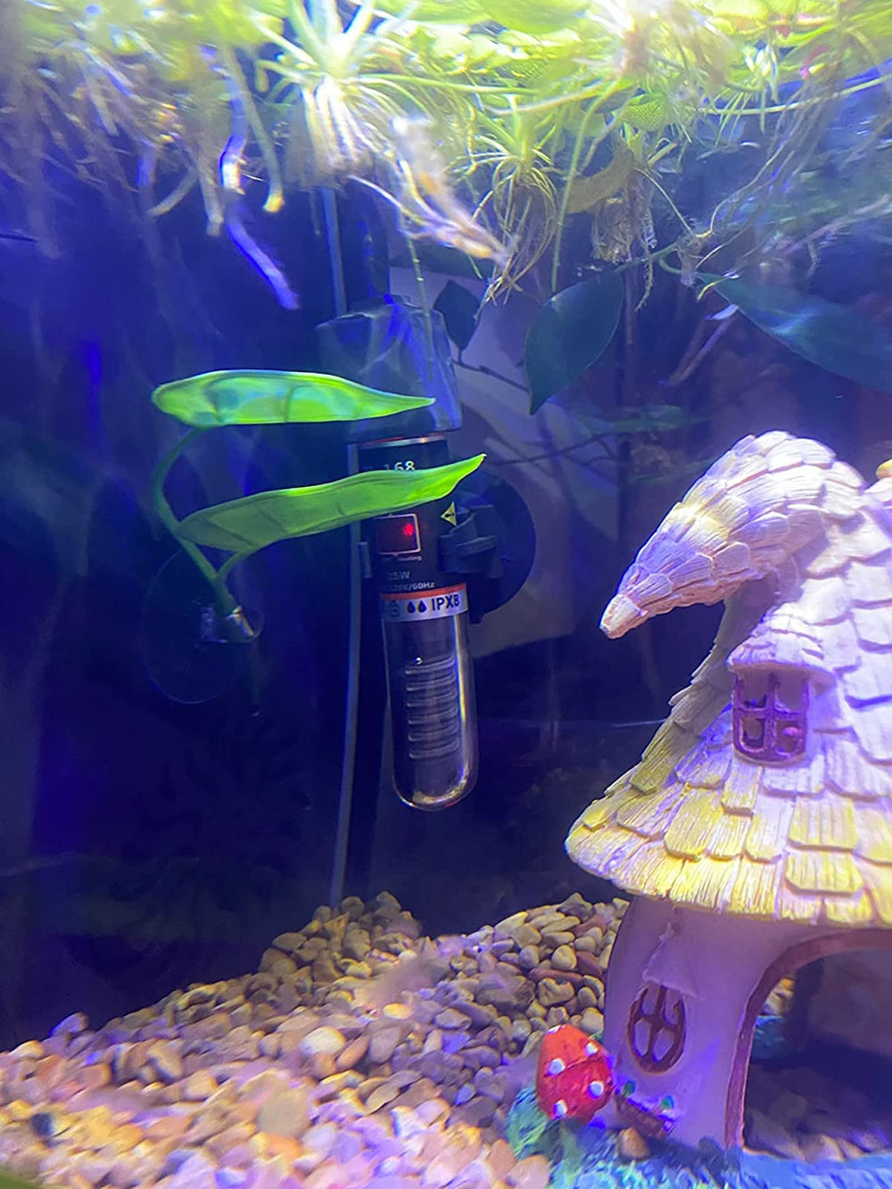 Haulonda Betta Hammock Natural Look blends with any tank aesthetic.