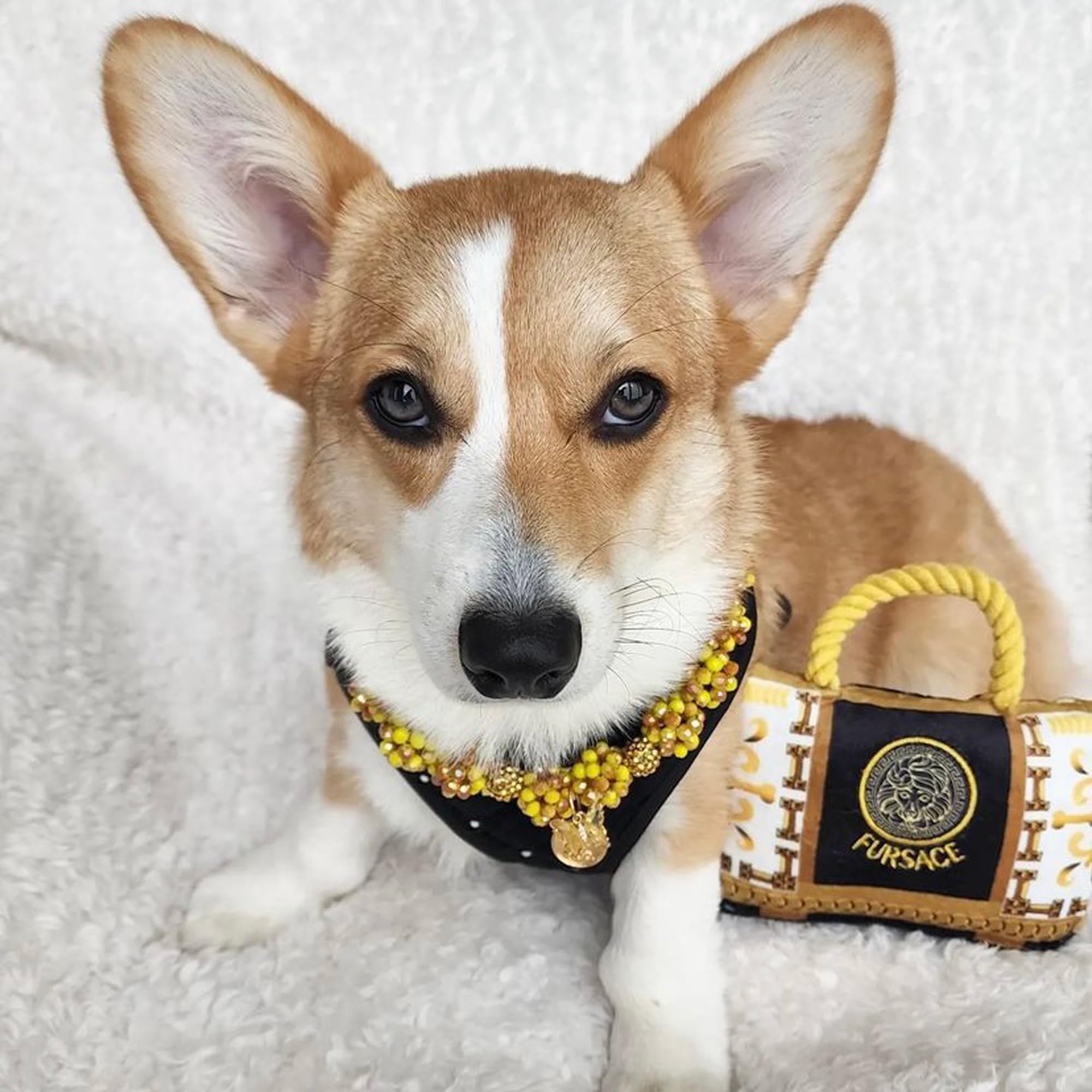 Haute Diggity Dog Fursace Handbag suits all breeds and sizes