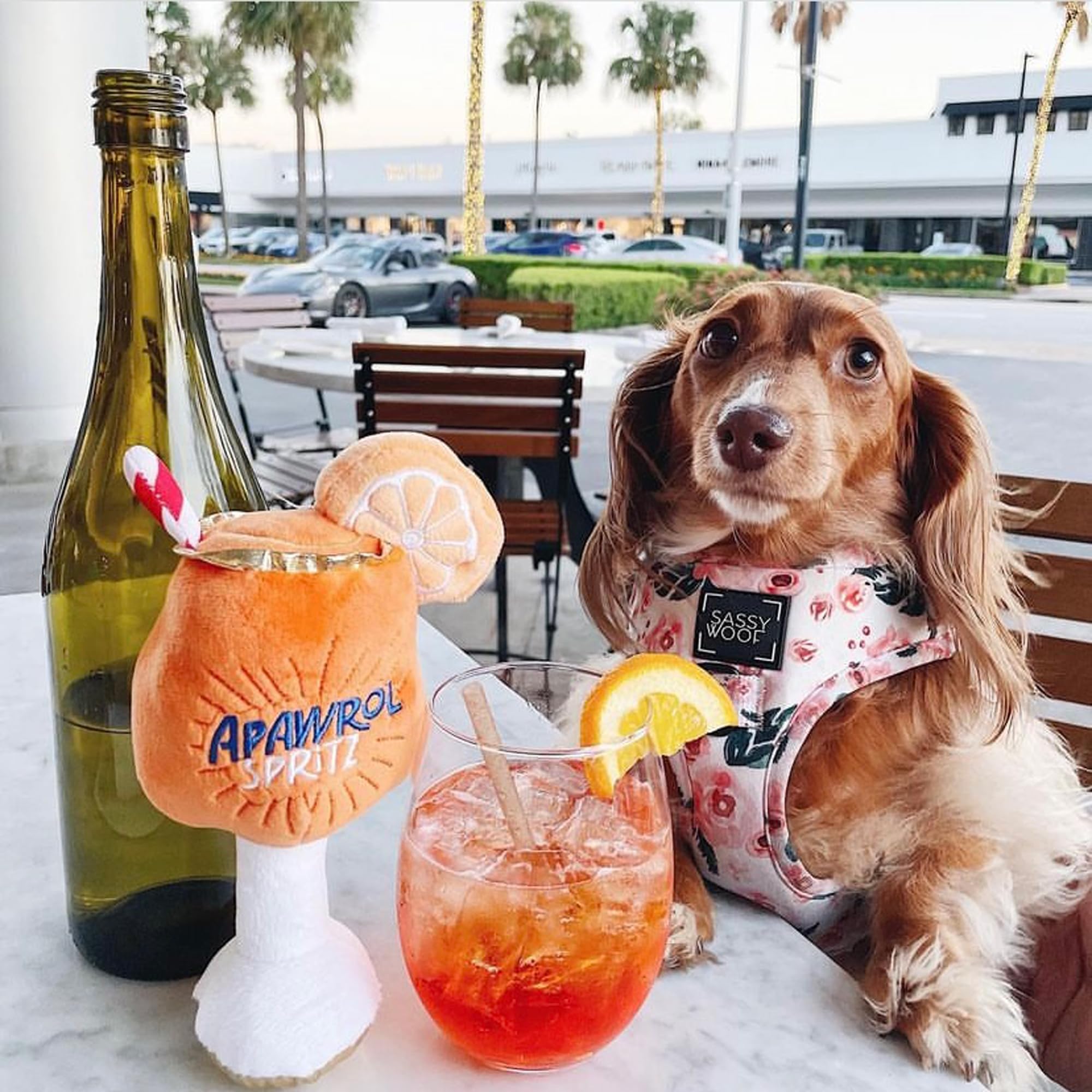 Haute Diggity Dog Apawrol Spritz toy design suitable for fetch, tug-o-war, and cuddles.