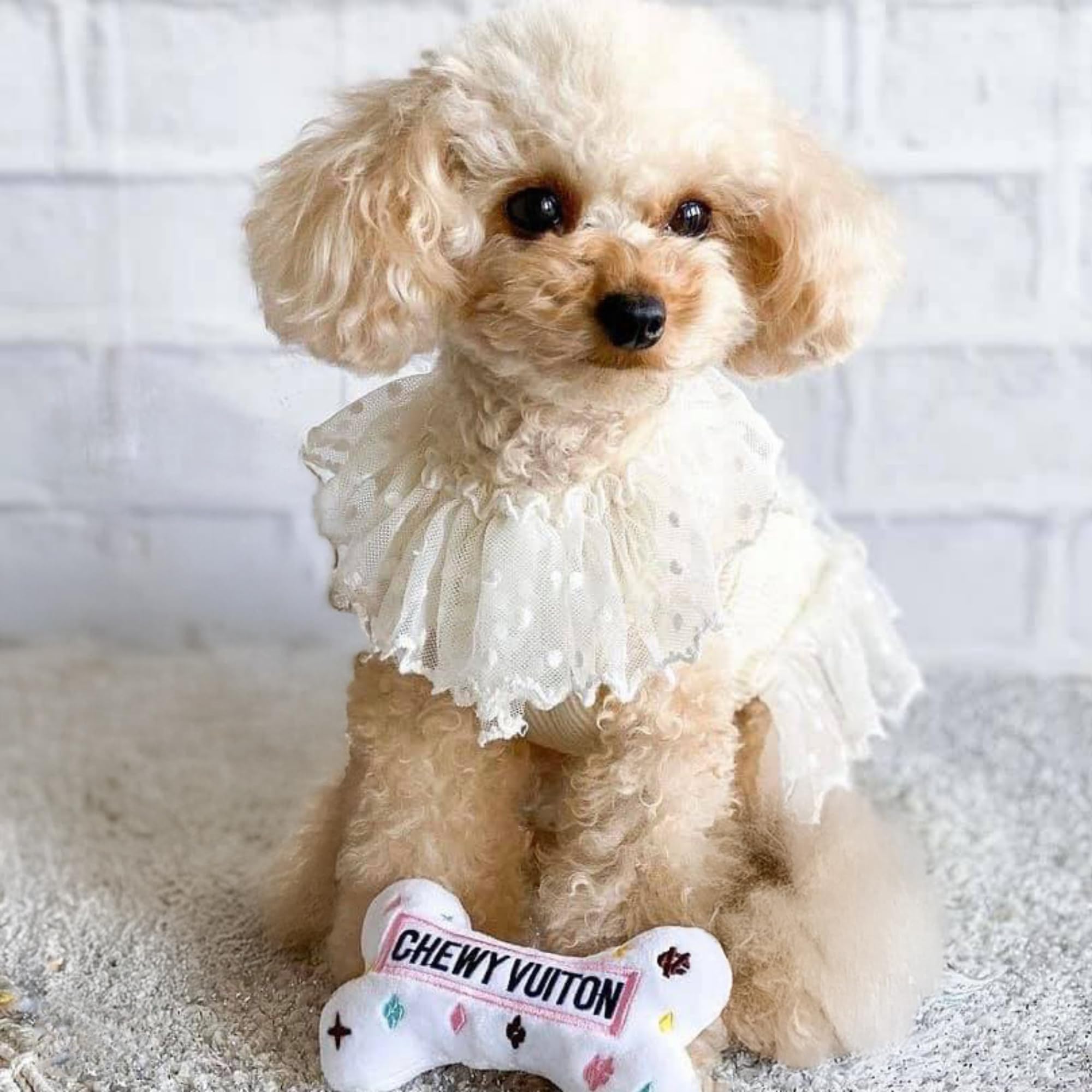Haute Diggity Dog plush toy cuddle scene highlights soft, durable materials.