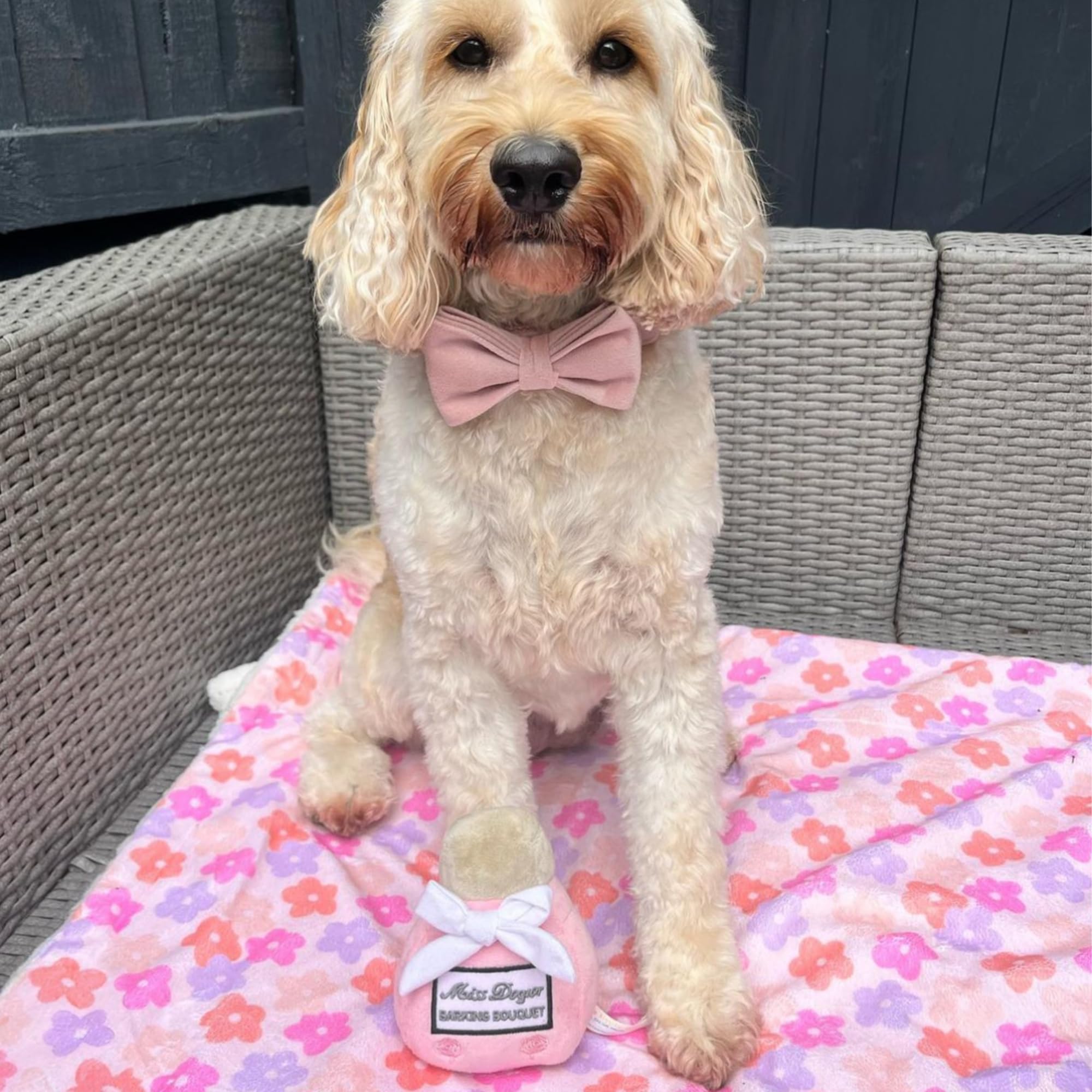 Haute Diggity Dog park-ready toy ideal for fetch, tug-of-war, and cozy snuggle moments.