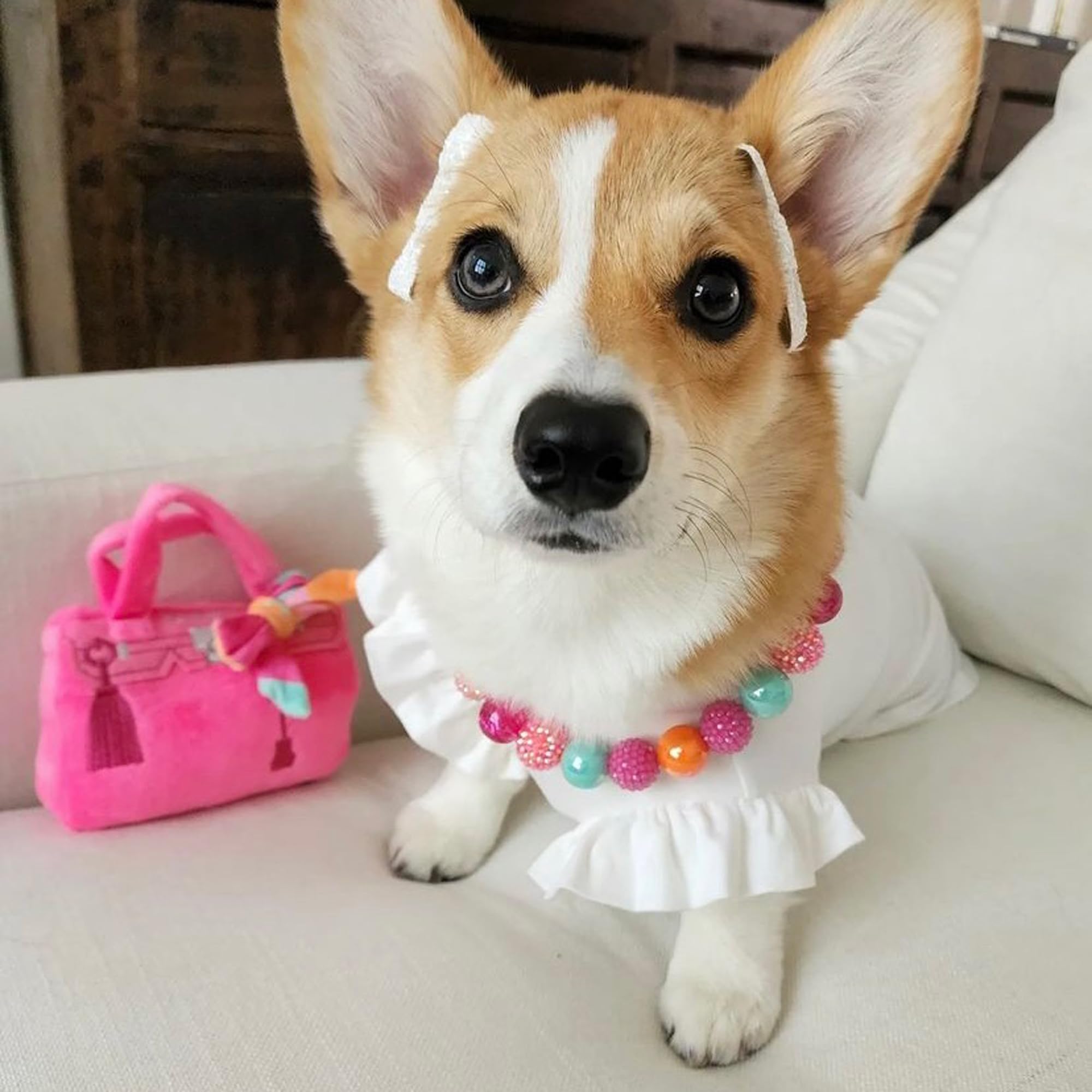 Haute Diggity Dog Barkin Bag care: machine-washable design for quick cleanup after play.