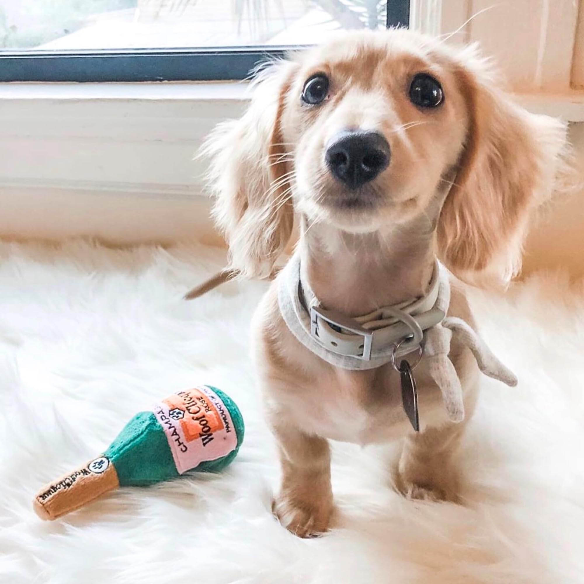 Haute Diggity Dog machine-washable plush simplifies cleanup after play sessions