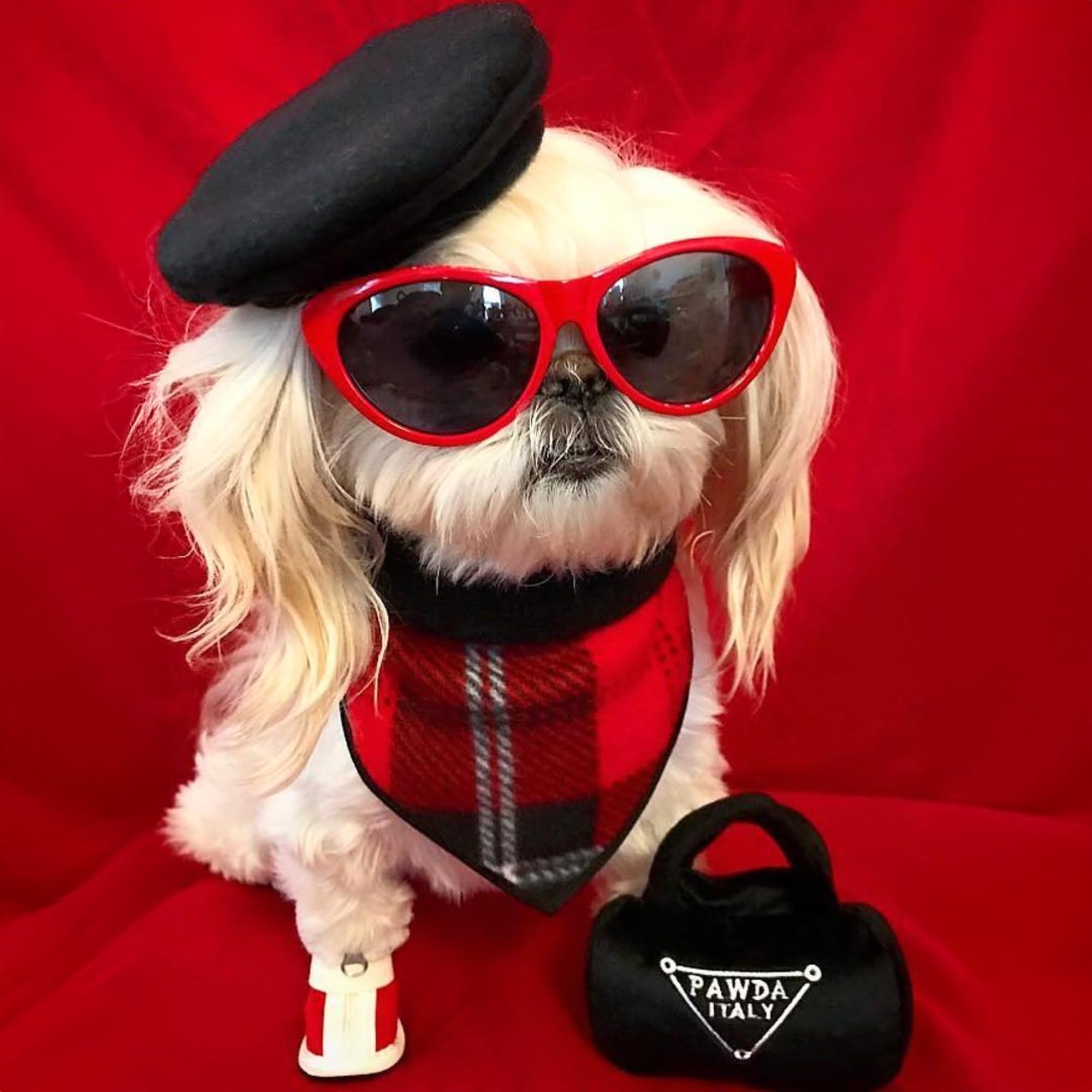 Haute Diggity Dog Pawda Handbag plush toy promotes interactive play and enrichment for busy dogs.
