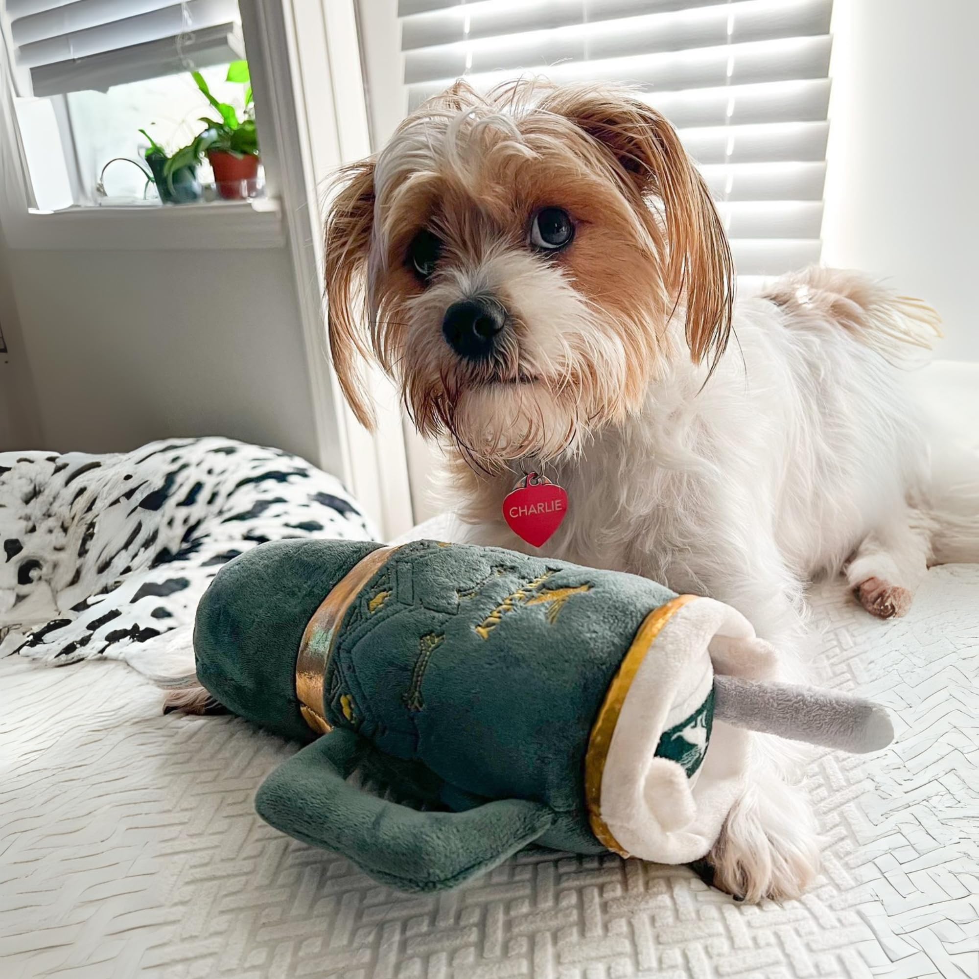 Regalo ideal Haute Diggity Dog para cumpleaños de perros