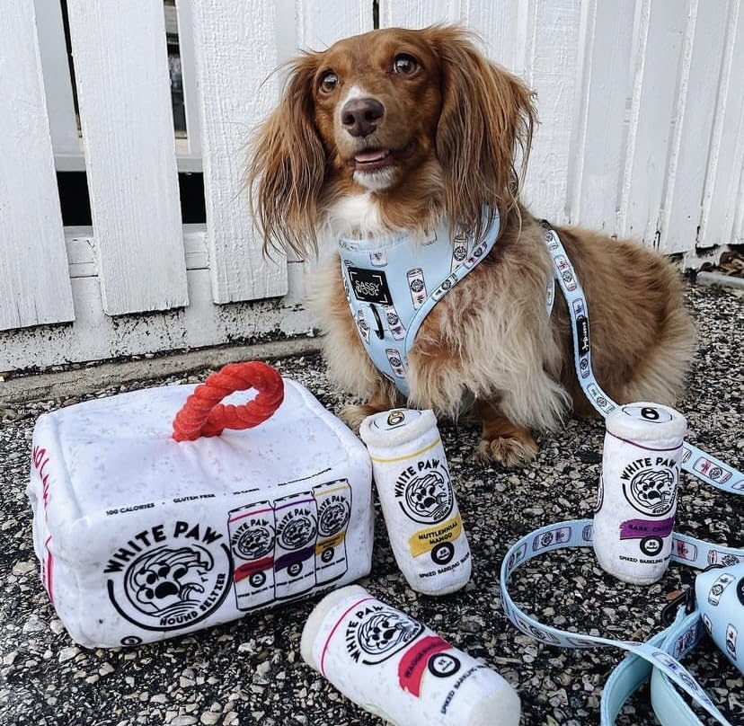 Haute Diggity Dog White Paw Grrriety Pack one-size versatility suits all breeds for shared playtime.